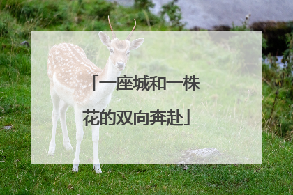 一座城和一株花的双向奔赴