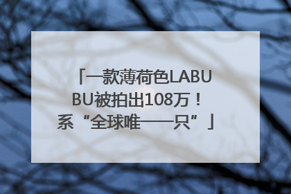 一款薄荷色LABUBU被拍出108万！系“全球唯一一只”