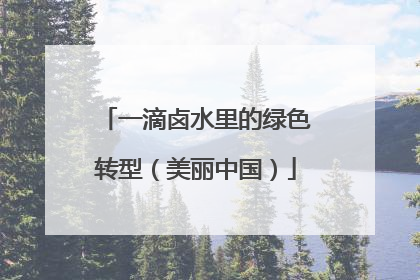 一滴卤水里的绿色转型（美丽中国）