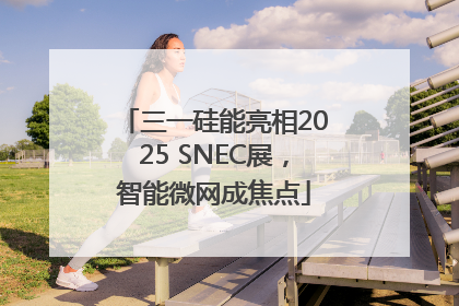 三一硅能亮相2025 SNEC展，智能微网成焦点