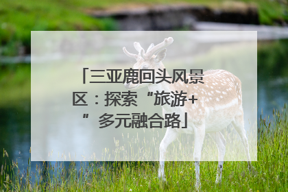 三亚鹿回头风景区：探索“旅游+”多元融合路