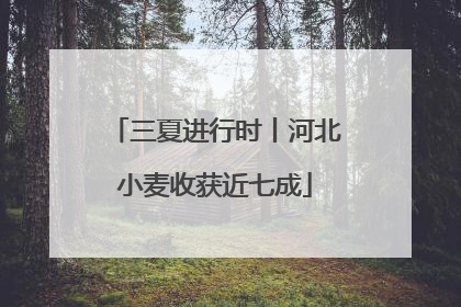 三夏进行时丨河北小麦收获近七成