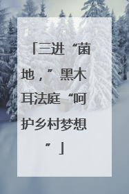 三进“菌地，”黑木耳法庭“呵护乡村梦想”