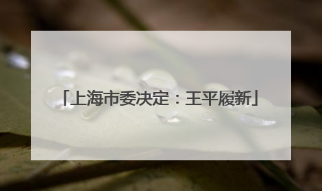 上海市委决定：王平履新