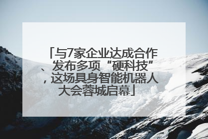 与7家企业达成合作、发布多项“硬科技”，这场具身智能机器人大会蓉城启幕