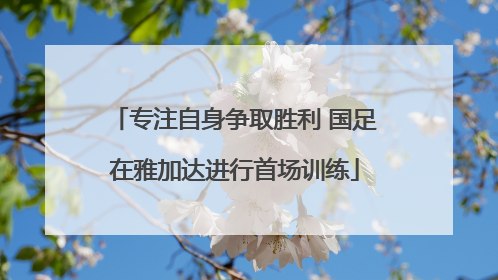 专注自身争取胜利 国足在雅加达进行首场训练