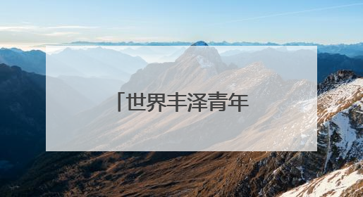 世界丰泽青年联谊会成立