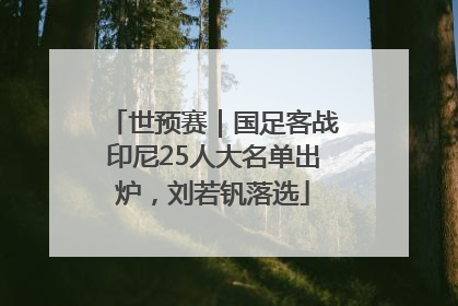 世预赛｜国足客战印尼25人大名单出炉，刘若钒落选