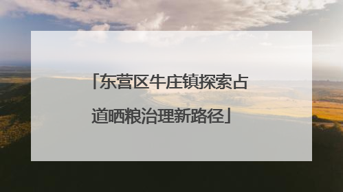 东营区牛庄镇探索占道晒粮治理新路径