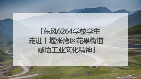 东风6264学校学生走进十堰张湾区花果街道感悟工业文化精神