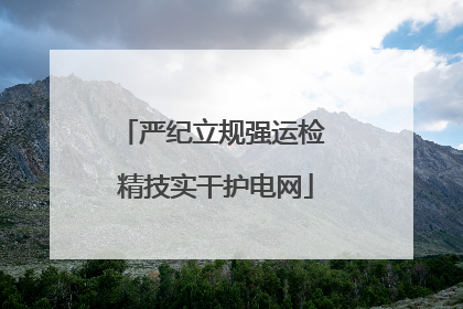 严纪立规强运检 精技实干护电网