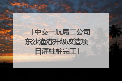 中交一航局二公司东沙渔港升级改造项目灌柱桩完工