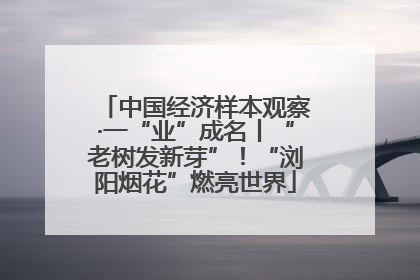 中国经济样本观察·一“业”成名丨“老树发新芽”！“浏阳烟花”燃亮世界