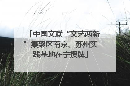 中国文联“文艺两新”集聚区南京、苏州实践基地在宁授牌