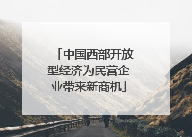 中国西部开放型经济为民营企业带来新商机