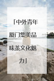 中外青年厦门集美品味茶文化魅力