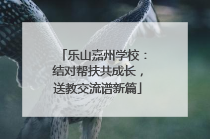 乐山嘉州学校：结对帮扶共成长，送教交流谱新篇