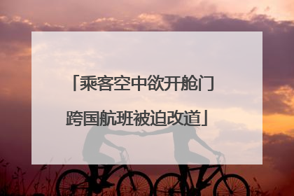 乘客空中欲开舱门 跨国航班被迫改道