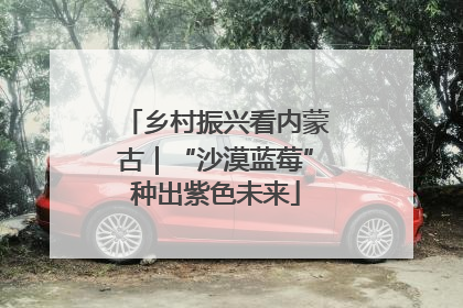 乡村振兴看内蒙古｜“沙漠蓝莓”种出紫色未来