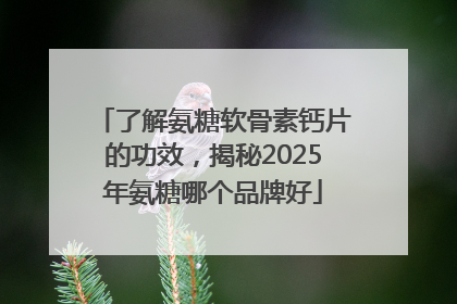 了解氨糖软骨素钙片的功效，揭秘2025年氨糖哪个品牌好