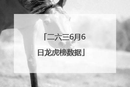 二六三6月6日龙虎榜数据