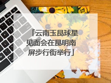 云南玉昆球星见面会在昆明南屏步行街举行