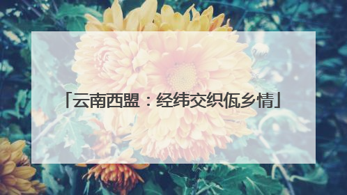 云南西盟：经纬交织佤乡情