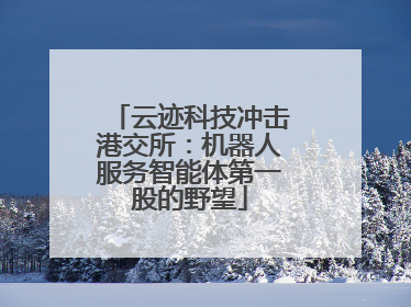 云迹科技冲击港交所：机器人服务智能体第一股的野望