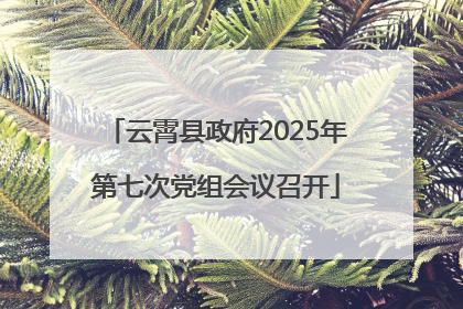 云霄县政府2025年第七次党组会议召开