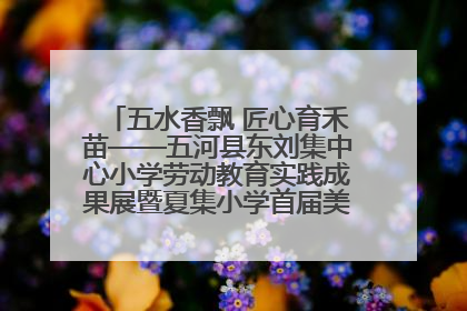 五水香飘 匠心育禾苗——五河县东刘集中心小学劳动教育实践成果展暨夏集小学首届美食节盛大举行