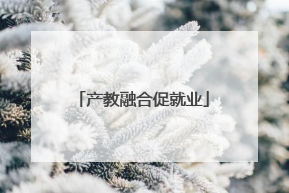 产教融合促就业