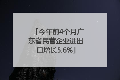 今年前4个月广东省民营企业进出口增长5.6%