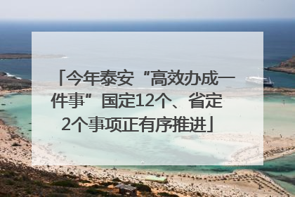 今年泰安“高效办成一件事”国定12个、省定2个事项正有序推进