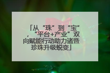 从“珠”到“宝”，“平台+产业”双向赋能行动助力诸暨珍珠升级蜕变