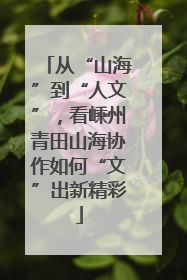 从“山海”到“人文”，看嵊州青田山海协作如何“文”出新精彩