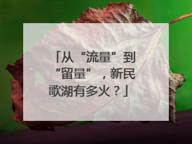 从“流量”到“留量”，新民歌湖有多火？