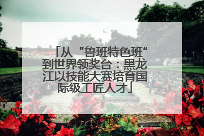 从“鲁班特色班”到世界领奖台：黑龙江以技能大赛培育国际级工匠人才
