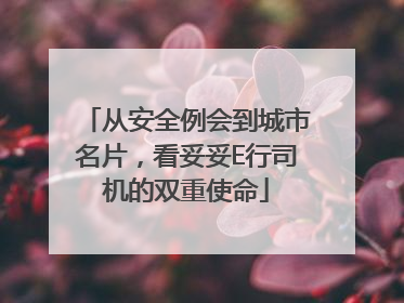 从安全例会到城市名片，看妥妥E行司机的双重使命