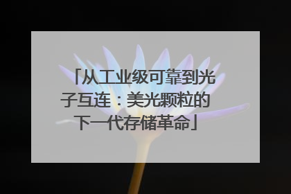 从工业级可靠到光子互连：美光颗粒的下一代存储革命