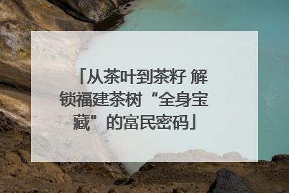 从茶叶到茶籽 解锁福建茶树“全身宝藏”的富民密码