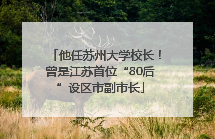 他任苏州大学校长！曾是江苏首位“80后”设区市副市长