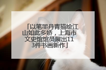 以笔墨丹青描绘江山如此多娇，上海市文史馆馆员展出113件书画新作