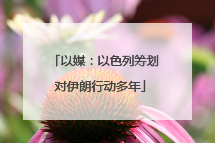 以媒：以色列筹划对伊朗行动多年