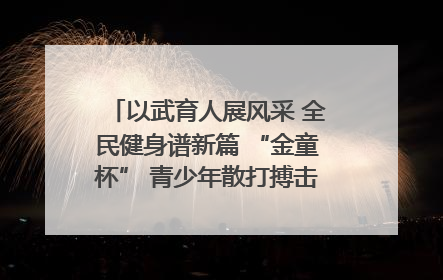 以武育人展风采 全民健身谱新篇 “金童杯” 青少年散打搏击邀请赛圆满落幕