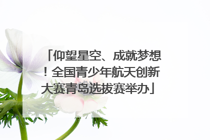 仰望星空、成就梦想！全国青少年航天创新大赛青岛选拔赛举办