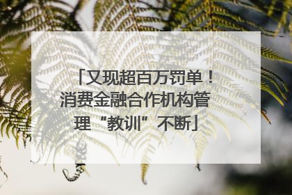又现超百万罚单！消费金融合作机构管理“教训”不断