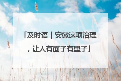 及时语｜安徽这项治理，让人有面子有里子