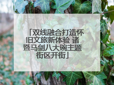 双线融合打造怀旧文旅新体验 诸暨马剑八大碗主题街区开街