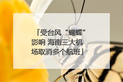 受台风“蝴蝶”影响 海南三大机场取消多个航班