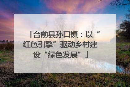 台前县孙口镇：以“红色引擎”驱动乡村建设“绿色发展”